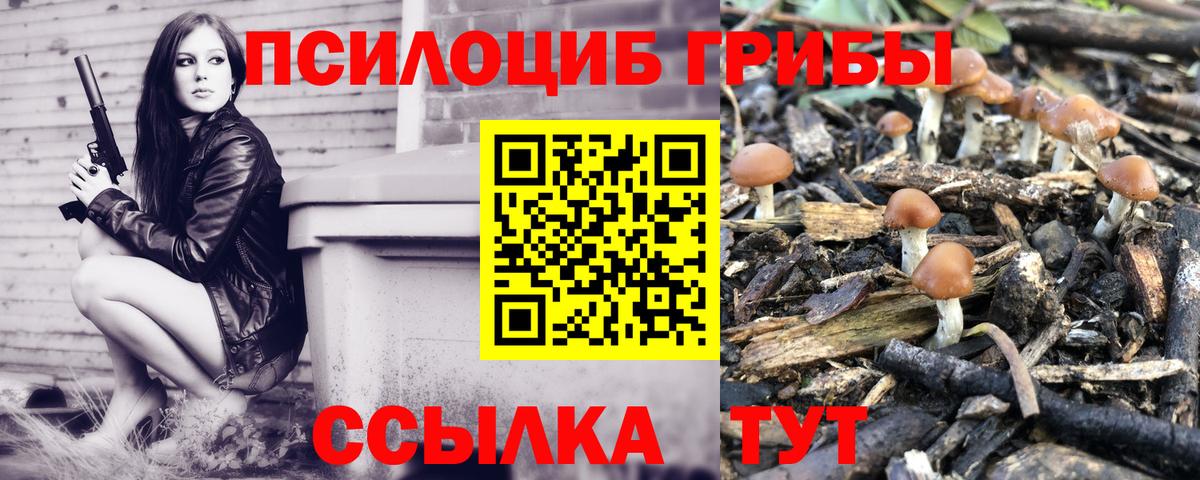 Петрозаводск  Псилоцибиновые грибы Magic Shrooms  купить наркотик  Вход с VPN 